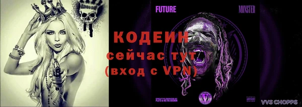 ГАЛЛЮЦИНОГЕННЫЕ ГРИБЫ Арсеньев
