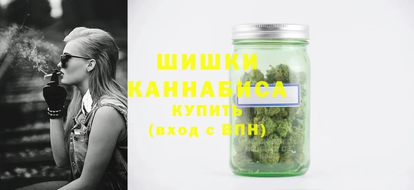 МДПВ Новозыбков