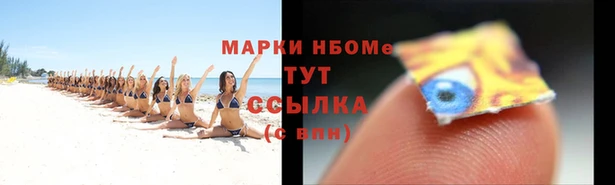 ГАЛЛЮЦИНОГЕННЫЕ ГРИБЫ Арсеньев