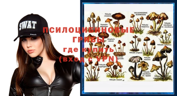 ГАЛЛЮЦИНОГЕННЫЕ ГРИБЫ Арсеньев